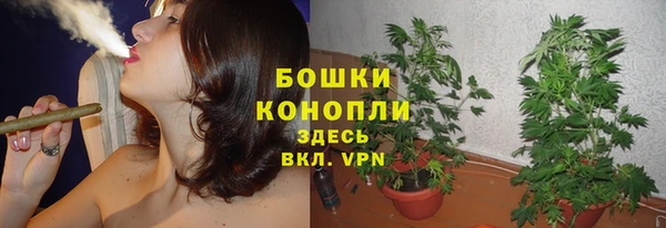 гашик Сатка