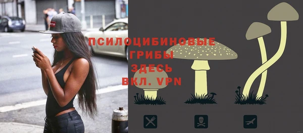 герыч Алексин