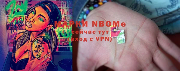 гашик Сатка
