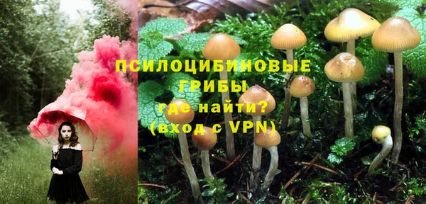 герыч Алексин
