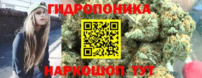 стаф Ирбит