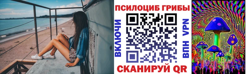Галлюциногенные грибы Psilocybe Нововоронеж